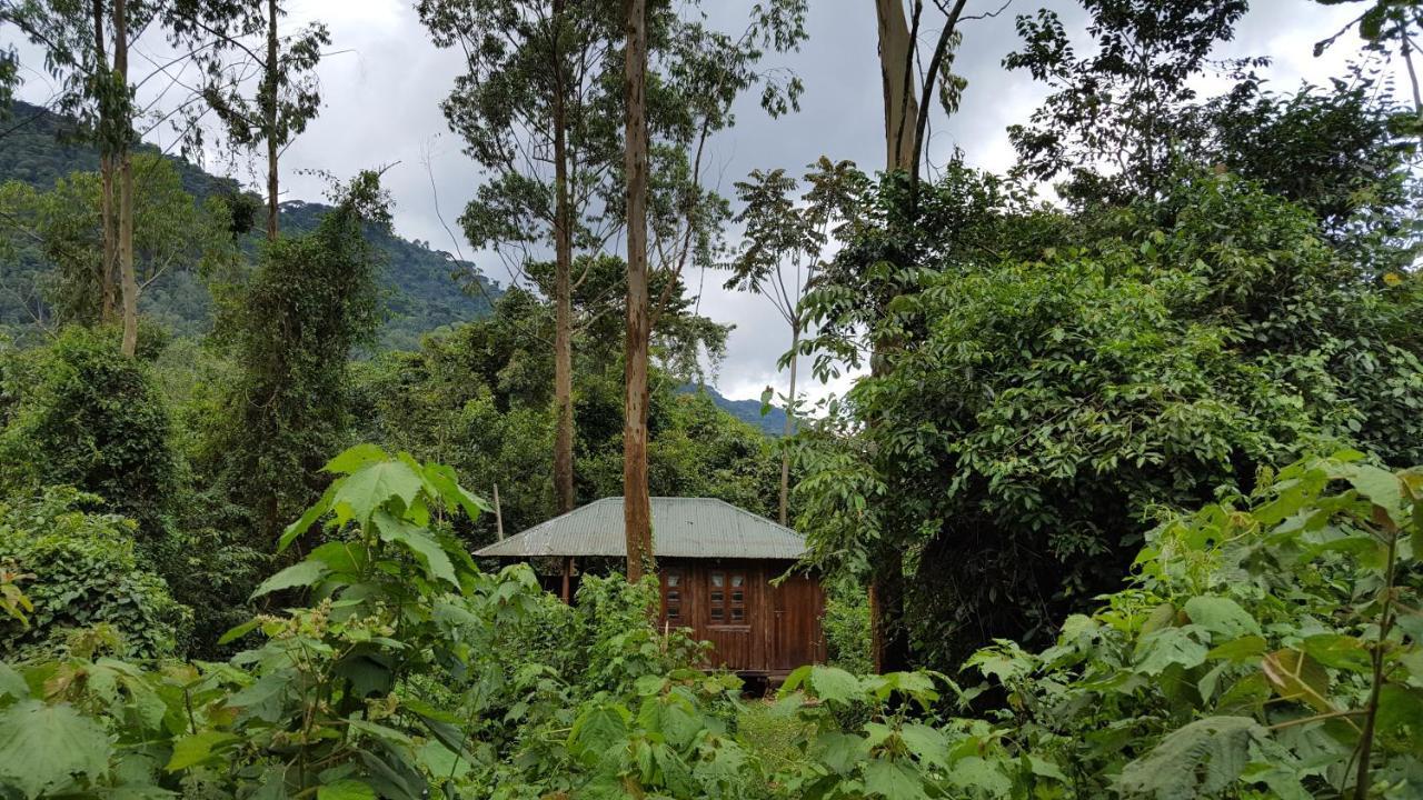 Bwindi Guest House Kanungu Exteriör bild