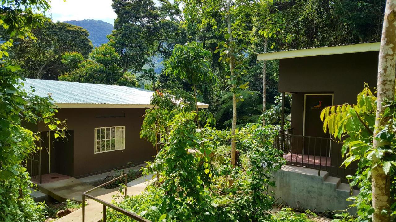 Bwindi Guest House Kanungu Exteriör bild