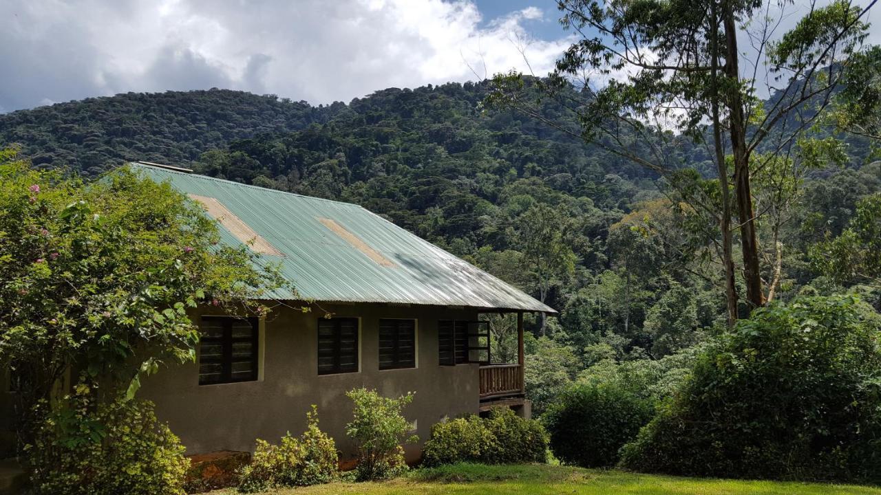 Bwindi Guest House Kanungu Exteriör bild