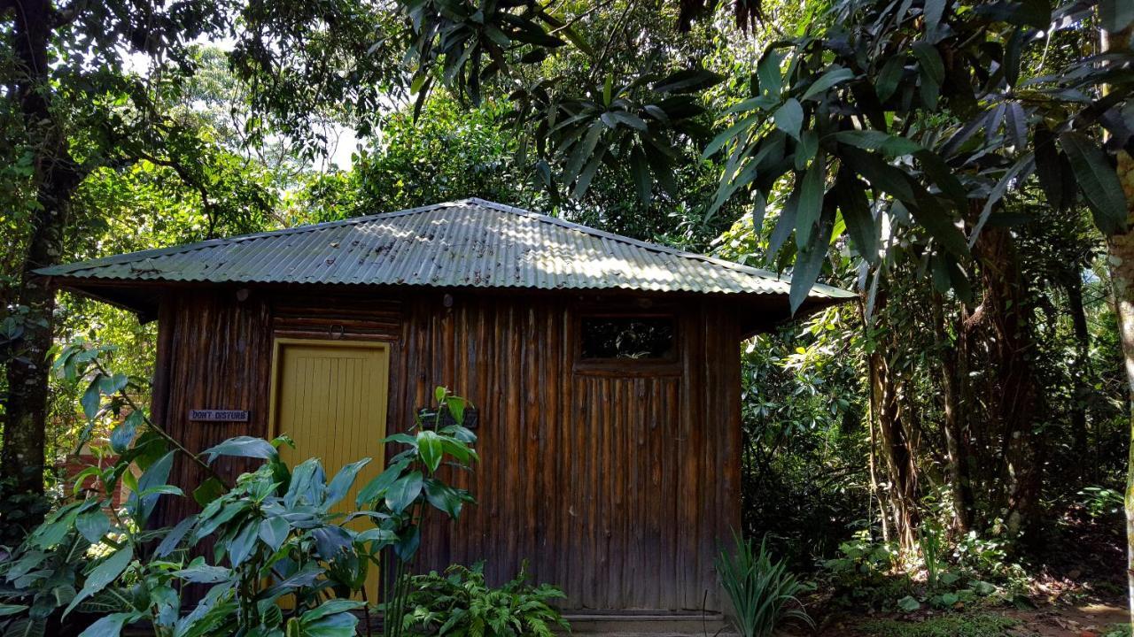 Bwindi Guest House Kanungu Exteriör bild