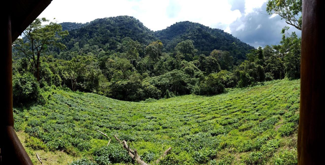 Bwindi Guest House Kanungu Exteriör bild